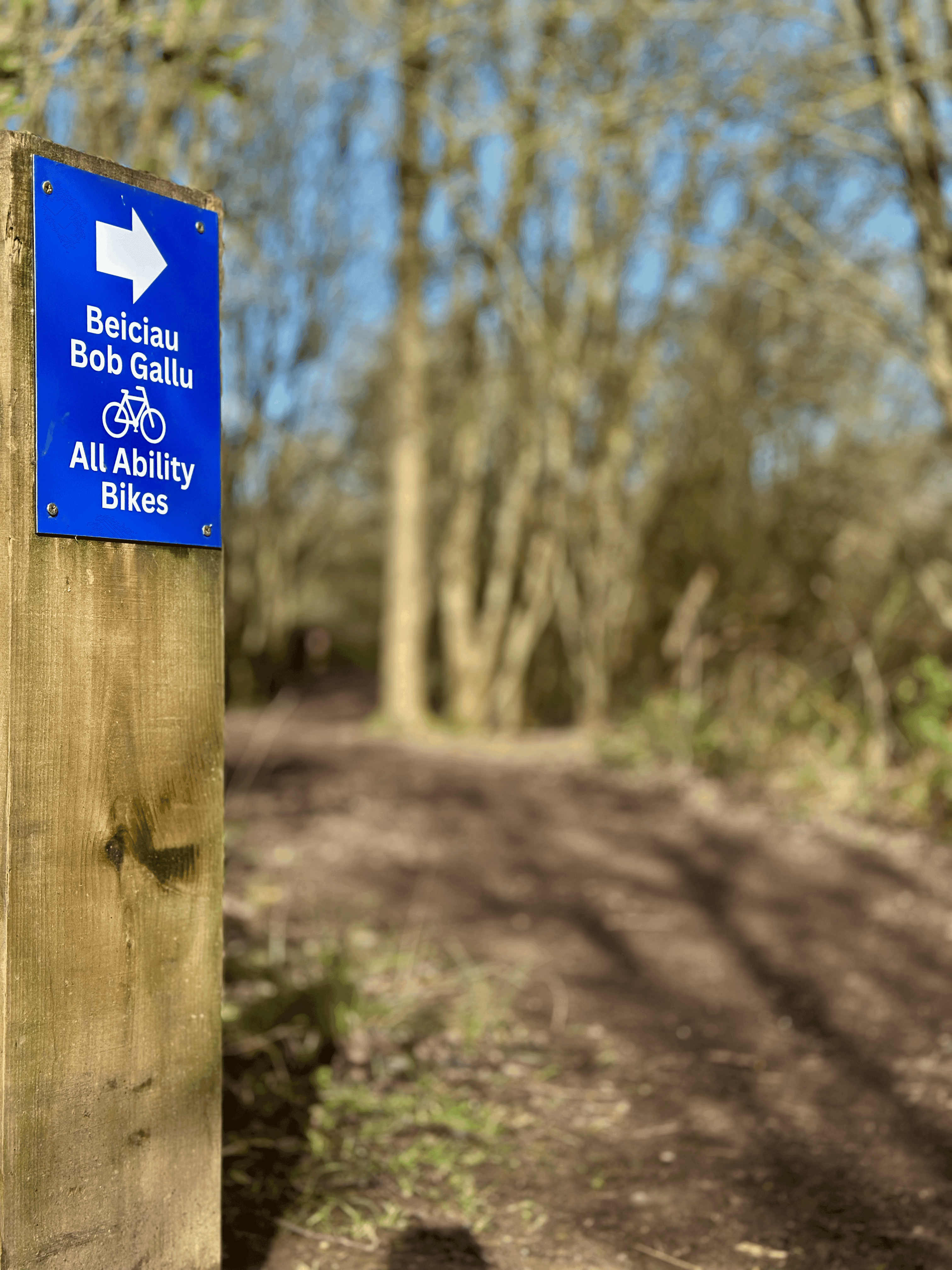 Woodland trail through the park